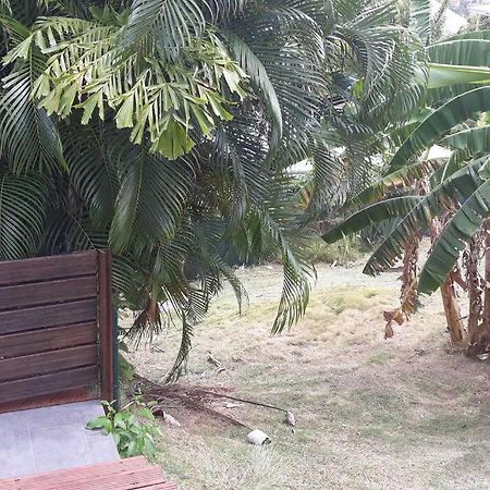 Apartamento T2 Design Pour 2 A Anse A L'Ane Aux Trois Ilets Les Trois-Ilets Exterior foto